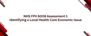 NHS FPX 6008 Assessment 1 Identifying a Local Health Care Economic Issue